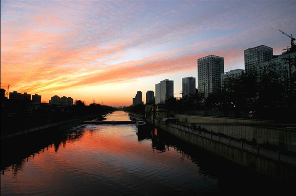 �����L���D