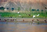 �L(f��ng)�����o(h��)�^(q��)